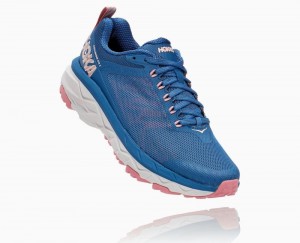 Hoka One One Challenger ATR 5 Straßenlaufschuhe Damen Dunkelblau Braun | 14970FSVC