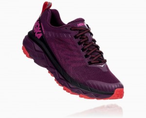 Hoka One One Challenger ATR 5 Straßenlaufschuhe Damen Lila Rot | 01829RMXS
