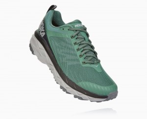 Hoka One One Challenger ATR 5 Wide Trail Schuhe Herren Grau | 72519QBAS