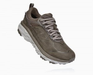 Hoka One One Challenger Low GORE Trail Schuhe Damen Braun | 39481BTRE