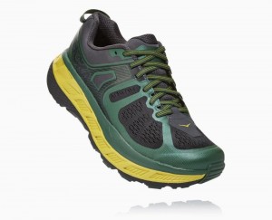 Hoka One One Stinson ATR 5 Wanderschuhe Herren Grau | 41893PGJO