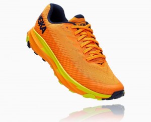Hoka One One Torrent 2 Trail Schuhe Herren Hell | 01639SOGB